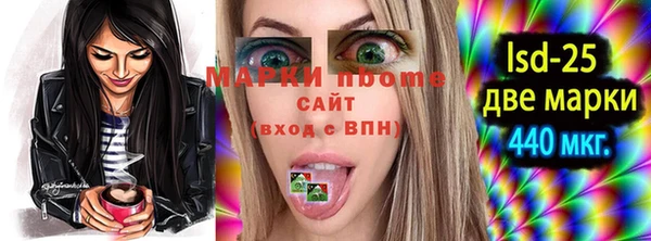 ПСИЛОЦИБИНОВЫЕ ГРИБЫ Арсеньев