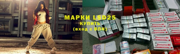 ПСИЛОЦИБИНОВЫЕ ГРИБЫ Арсеньев